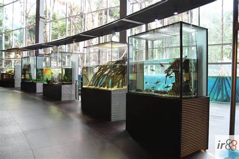 cosmocaixa precios|Museo de la Ciencia 